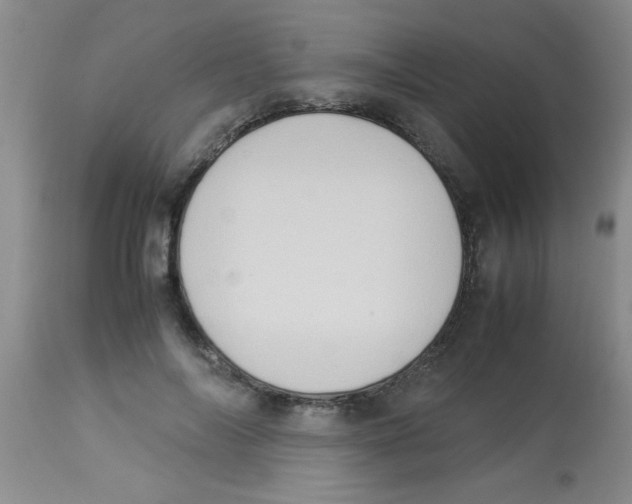 X0000113950694200910232007