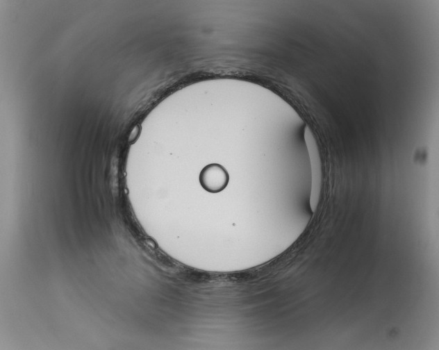 X0000113950696200910232007