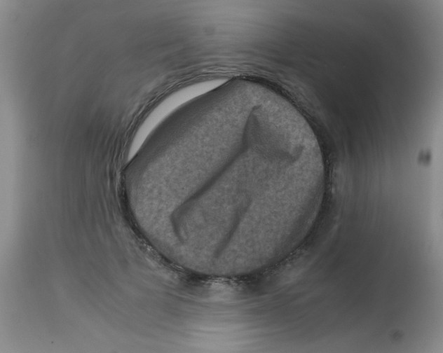 X0000113950697200910232007