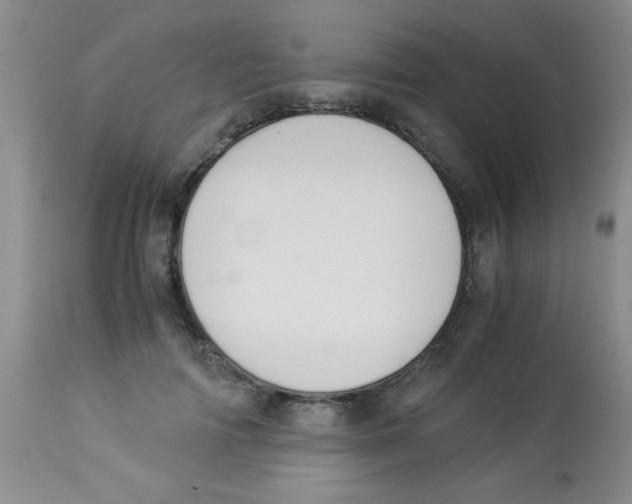 X0000113950698200910232006