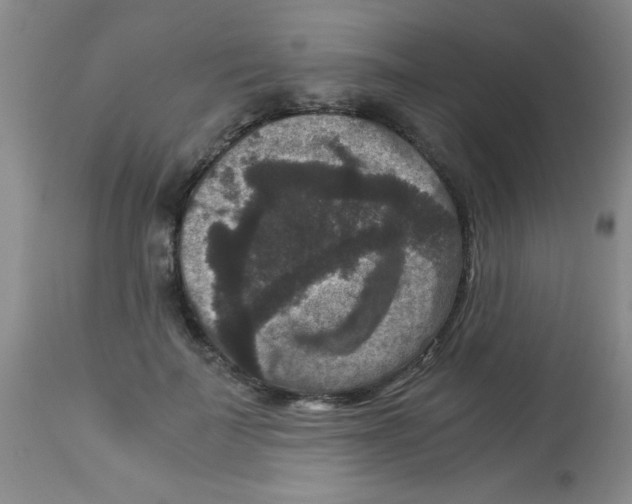 X0000113950699200910232006
