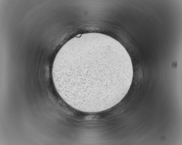 X0000113950700200910232006
