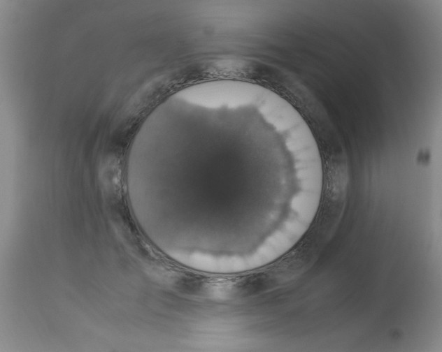 X0000113950701200910232006