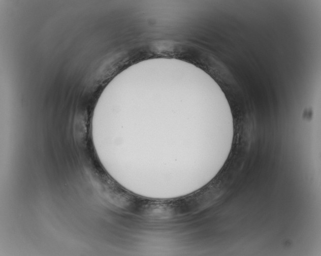 X0000113950702200910232006