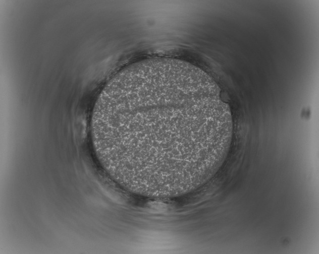 X0000113950703200910232006