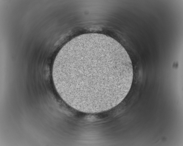 X0000113950704200910232006