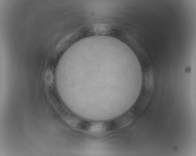 X0000113950705200910232006