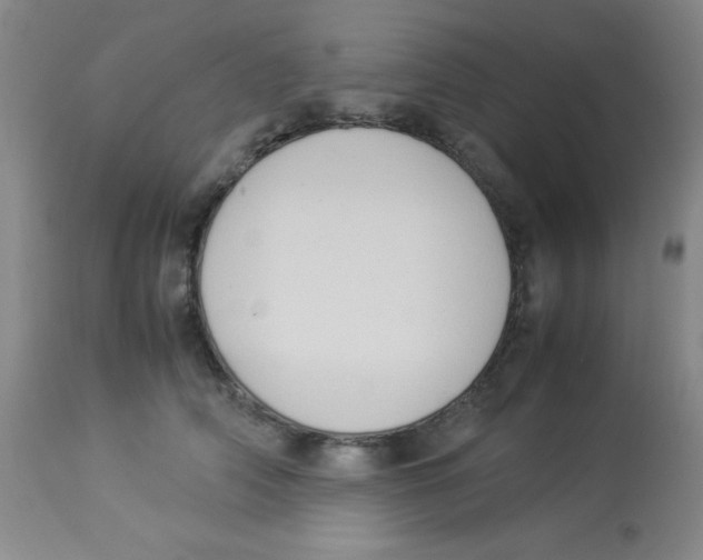 X0000113950706200910232006