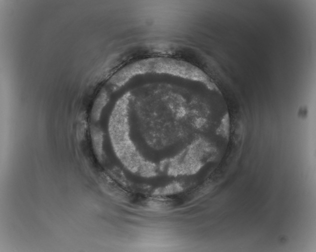 X0000113950707200910232006