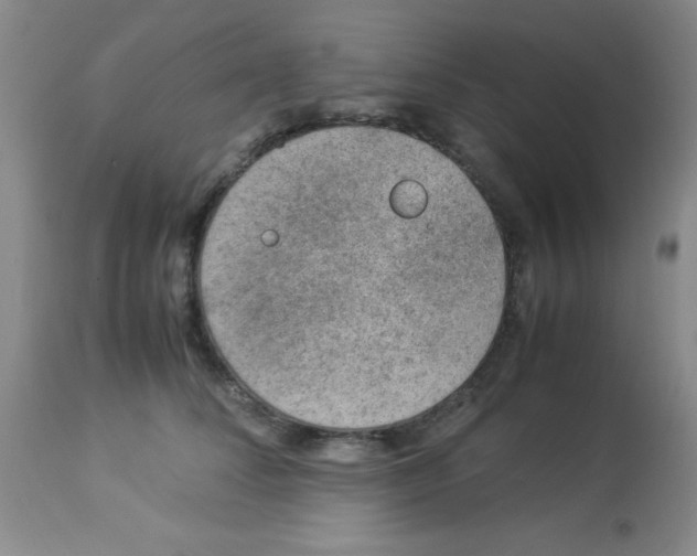 X0000113950708200910232006