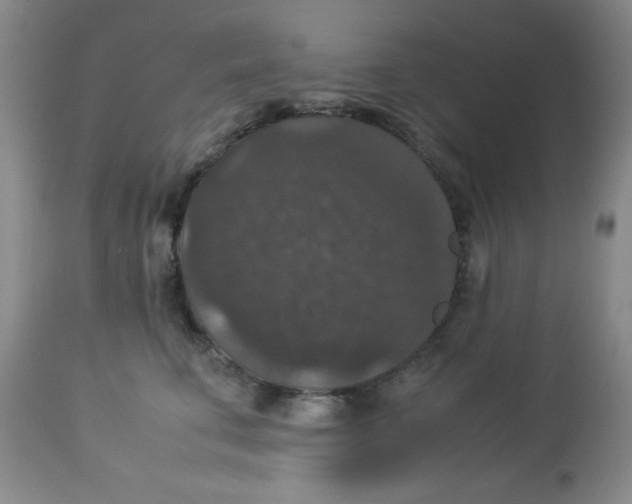 X0000113950711200910232006