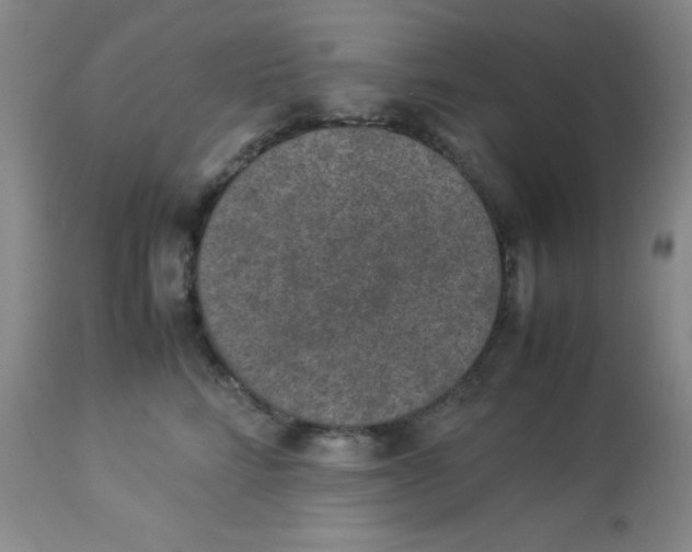 X0000113950712200910232006