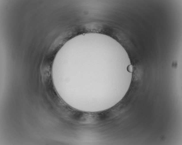 X0000113950713200910232006