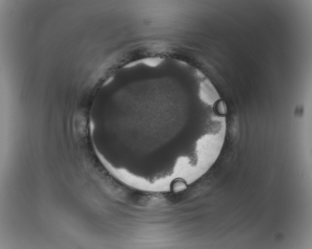 X0000113950715200910232006