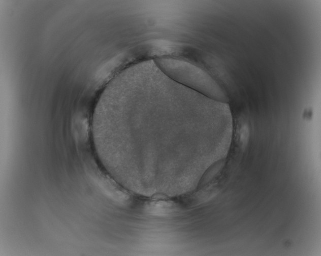 X0000113950716200910232006