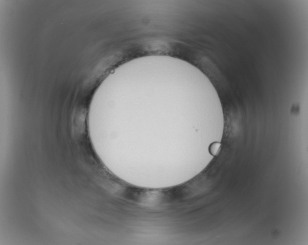 X0000113950717200910232006
