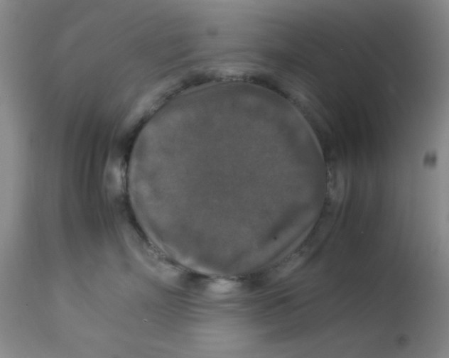 X0000113950718200910232006