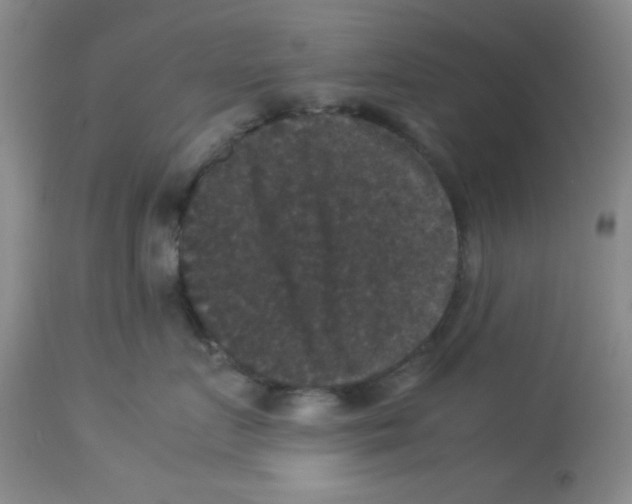 X0000113950719200910232006