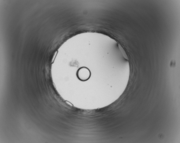 X0000113950720200910232006