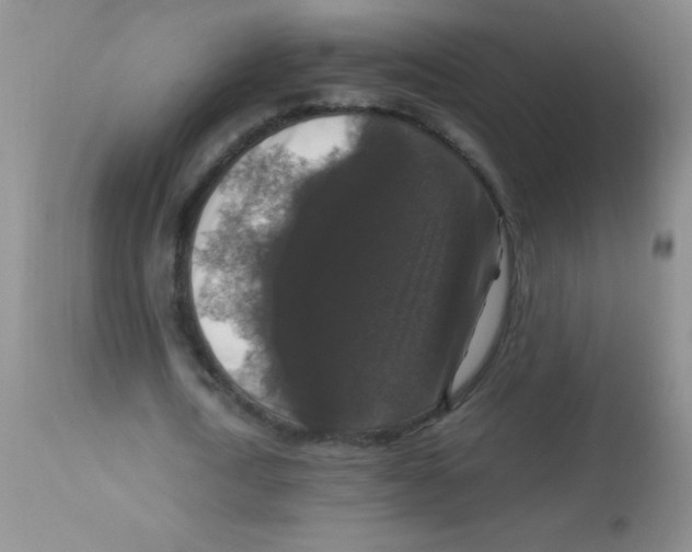 X0000113950722200910232006