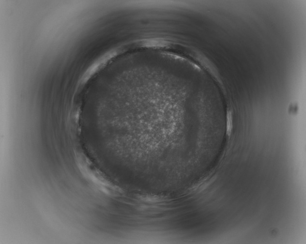 X0000113950723200910232006