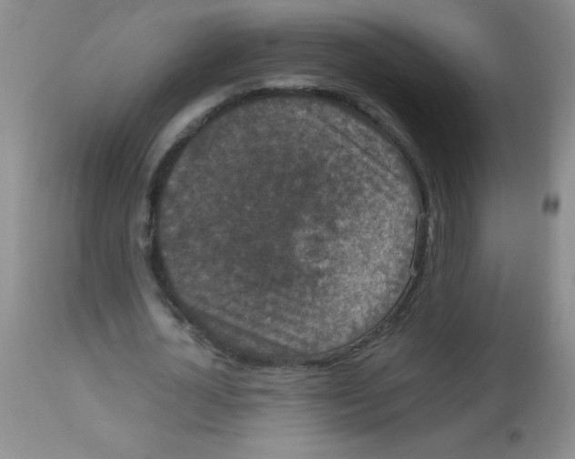 X0000113950724200910232006
