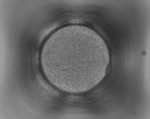 X0000113950727200910232006