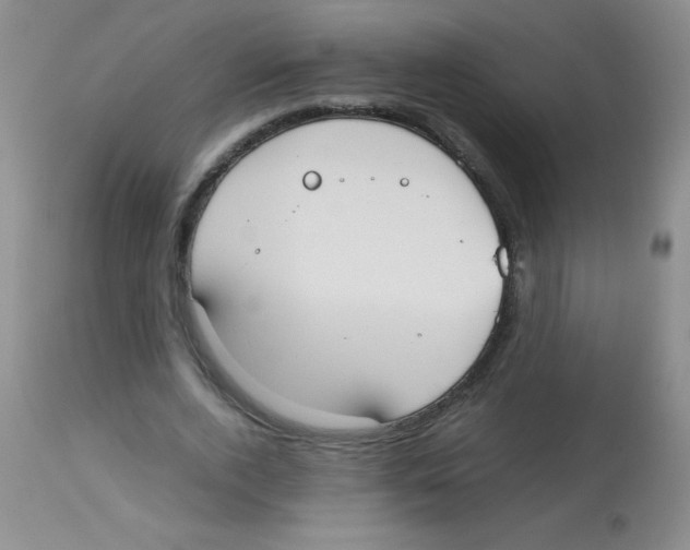 X0000113950728200910232006