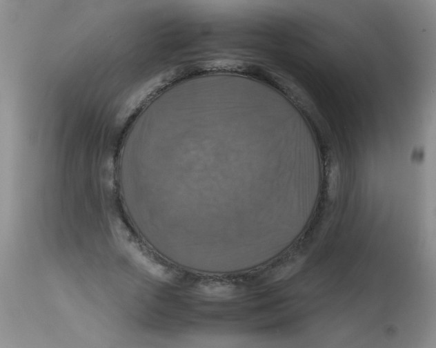 X0000113950729200910232006