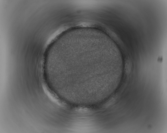 X0000113950730200910232006
