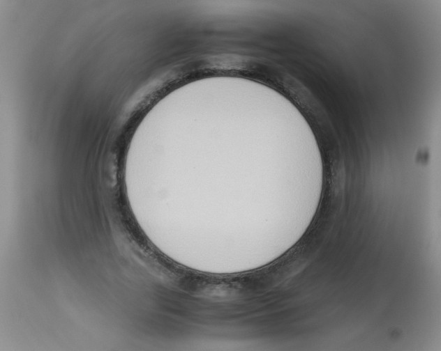 X0000113950731200910232006