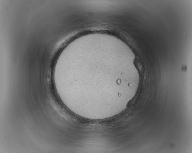 X0000113950732200910232006