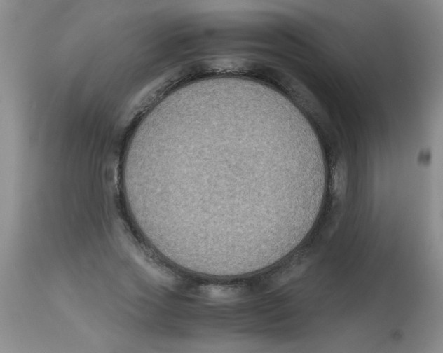 X0000113950733200910232006
