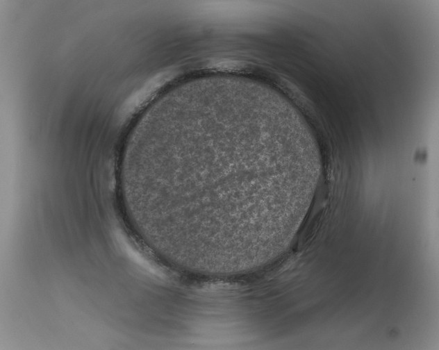 X0000113950734200910232006