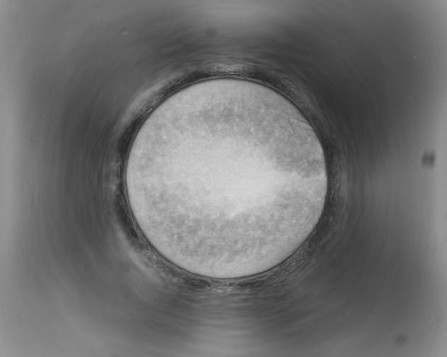 X0000113950736200910232006