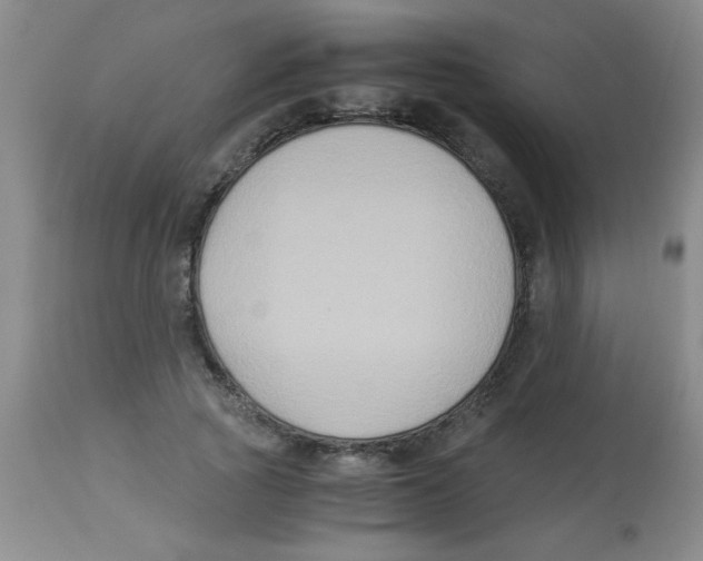 X0000113950737200910232006