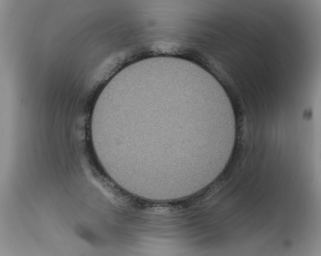 X0000113950738200910232006