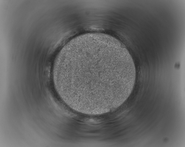 X0000113950739200910232006