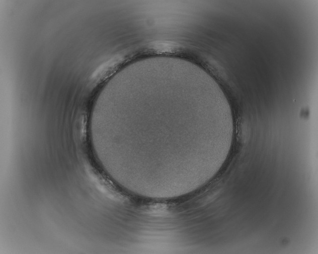 X0000113950740200910232006