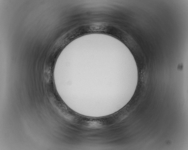 X0000113950741200910232006