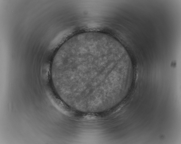 X0000113950742200910232006