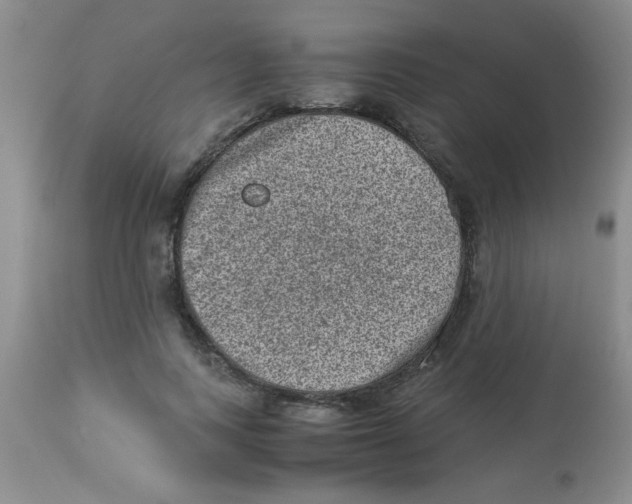 X0000113950743200910232006