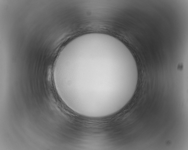 X0000113950744200910232006