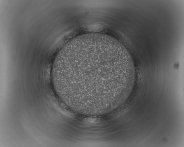 X0000113950745200910232006