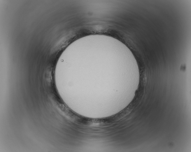 X0000113950746200910232006
