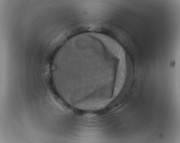 X0000113950748200910232006