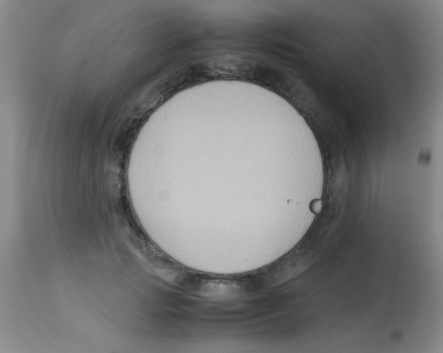 X0000113950749200910232006