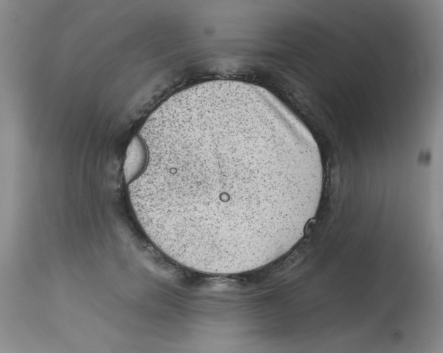 X0000113950750200910232006
