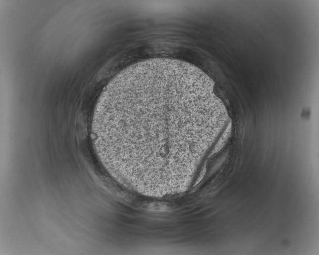 X0000113950751200910232006
