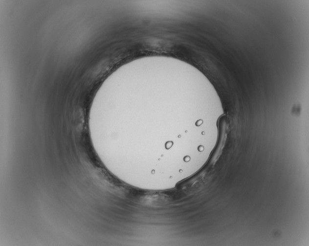 X0000113950752200910232006